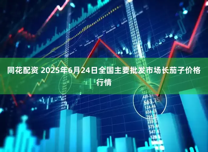 同花配资 2025年6月24日全国主要批发市场长茄子价格行情