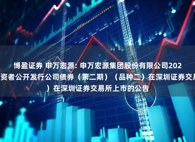 博盈证券 申万宏源: 申万宏源集团股份有限公司2025年面向专业投资者公开发行公司债券（第二期）（品种二）在深圳证券交易所上市的公告